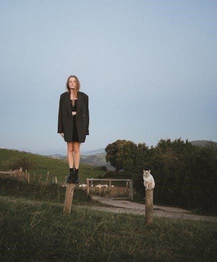 post merger integration playbook pdf