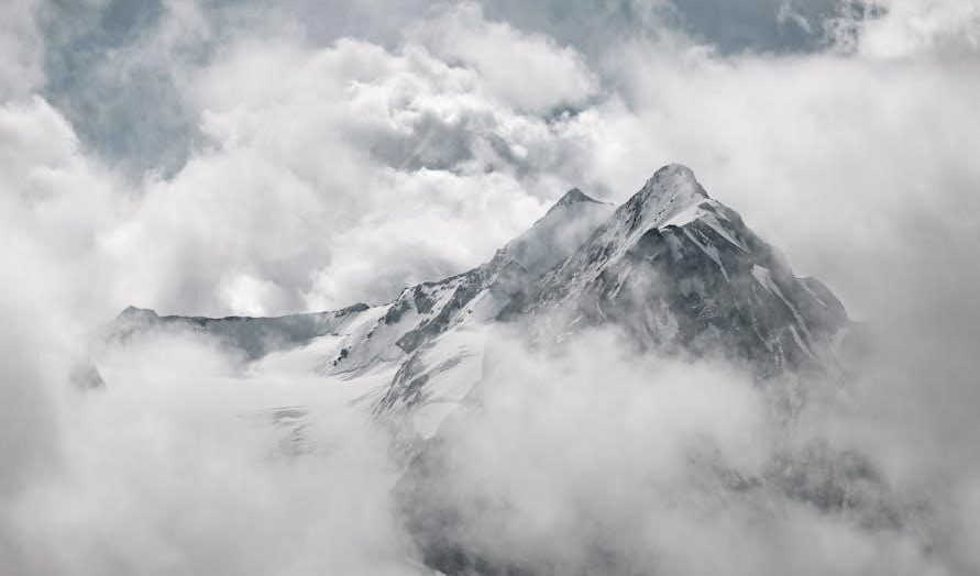 the forager’s guide to wild foods pdf free download