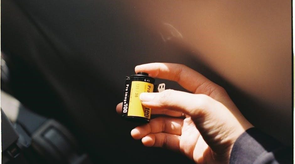 viessmann vitodens 100 w manual