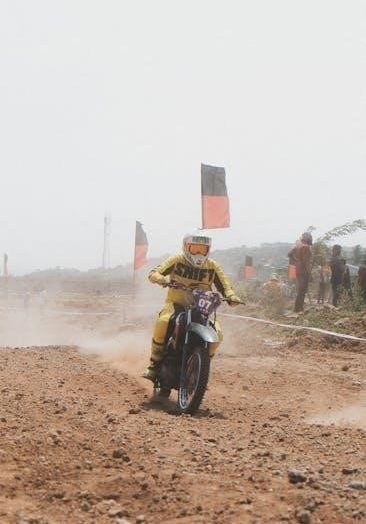 rally cross trophy guide