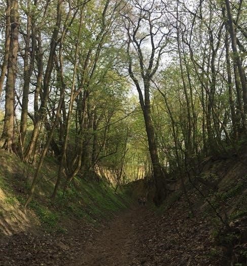 clean air wood heater manual