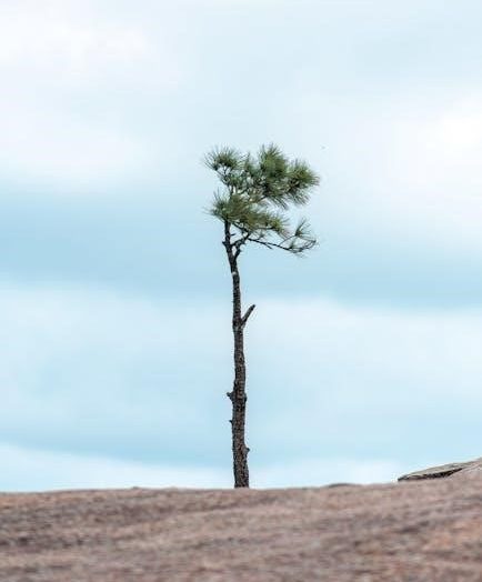 clayton county georgia teacher salary 24 25 pdf