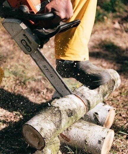 dsm-5 cross cutting symptom measure pdf