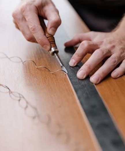 ripa-g scoring manual pdf