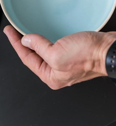 yeti blue mic manual