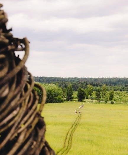 sacrosanctum concilium pdf